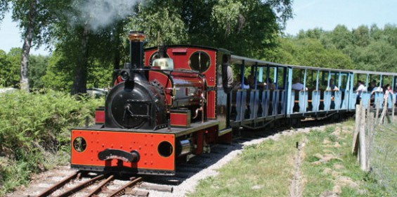 Hollycombe Steam Museum