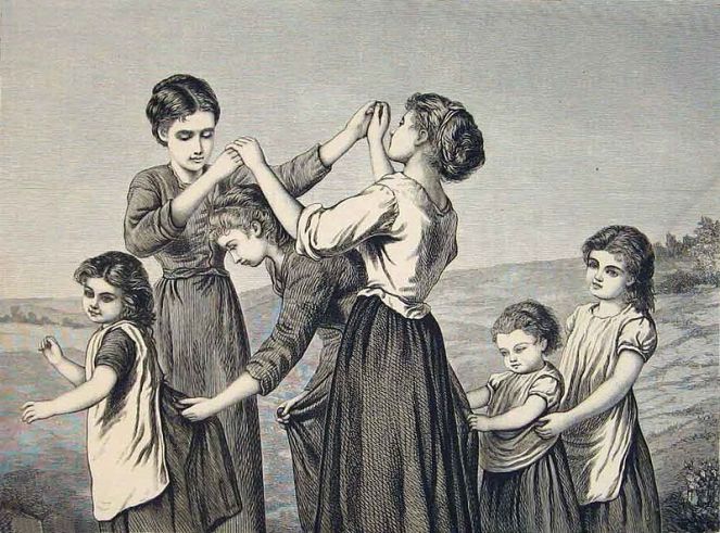 Bouvier - oranges lemons - wp