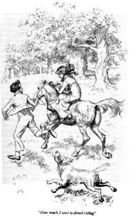 MP-Thomson-1897-horse2