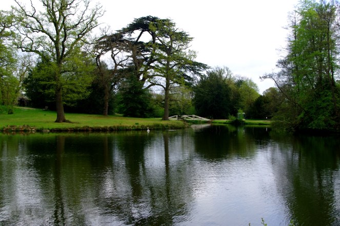 Part of the lake at Painshill Park, cTony Grant
