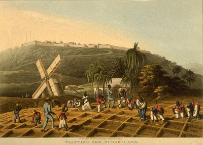 SugarCanePlantation-USSlave