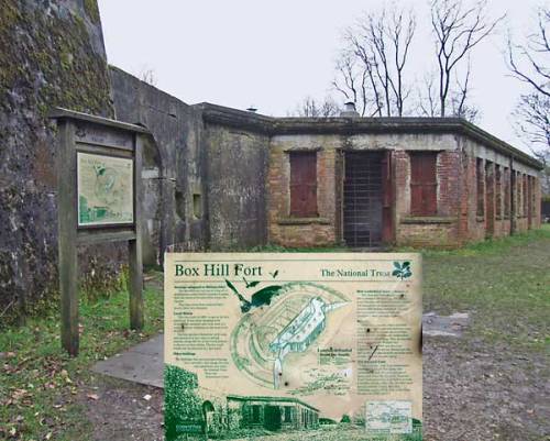 Box Hill Fort