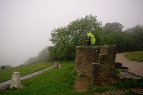 On the top of Box Hill