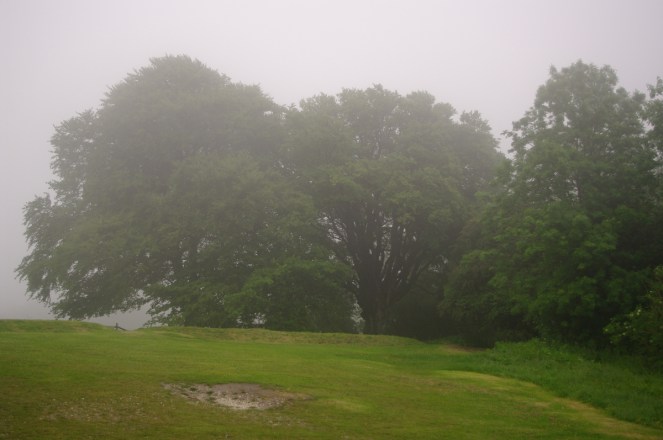 top of Box Hill in the mist