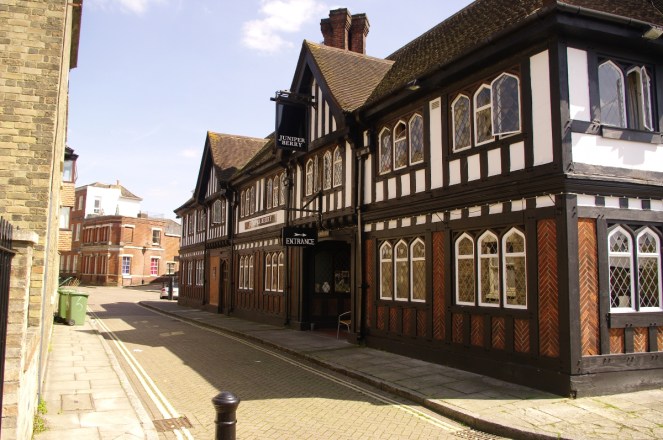 Rear of the Juniper Berry2