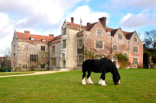 Chawton-House-Shire-Horse